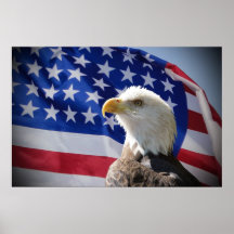 Bald Eagle and American Flag Posters