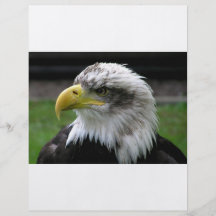 Bald Eagle Custom Flyer