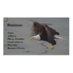 Bald Eagle Fishing Wildlife Business Cards