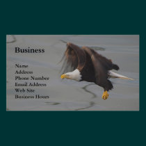 Bald Eagle Fishing Wildlife Business Cards business cards