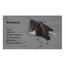 Bald Eagle Fishing Wildlife Business Cards