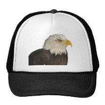 Bald Eagle Mesh Hats