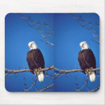 Bald Eagle Mousepads