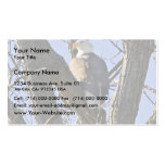 Bald eagle perched in tree business card templates