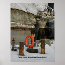 Bald Eagle Perched on a Life Ring Station Poster