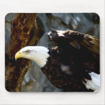Bald Eagle Pose Mousepad