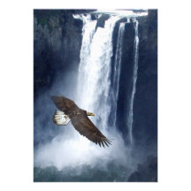 Bald Eagle & Waterfall Invitation Cards