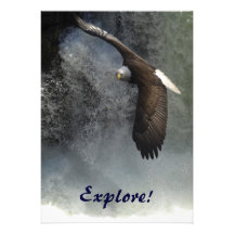 Bald Eagle & Waterfalls Invitation Cards