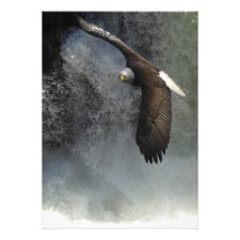 Bald Eagle & Waterfalls Invitation Cards