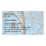 Bald Eagles Business Card