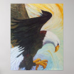 Balld Eagle - An American Treasure Matte Print