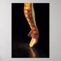 Ballet Poster-4561xlg