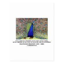 Baltasar Gracian At 20 A Man Is A Peacock Quote Postcard