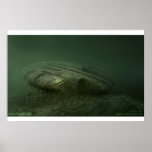 baltic Anomaly 2012 Posters