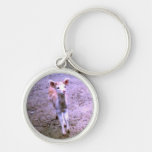 Bambi Llaveros Personalizados