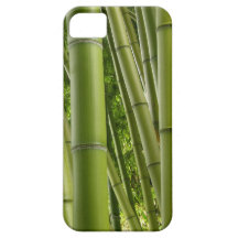 Bamboo in a jungle iPhone 5 cover