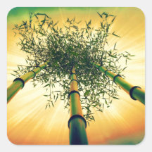 Bamboo Sky Square Sticker