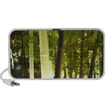 Bamboo Speaker
