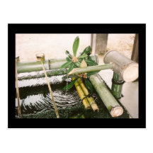 bamboowashing post cards