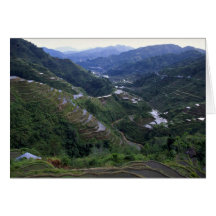 Banana rice terraces, Philippines Card