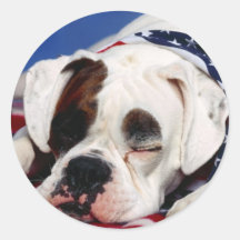 Bandit the Boxer Sticker