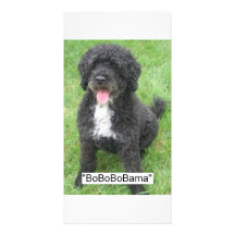 Barack Obama Portuguese Water Dog Custom Photo Card