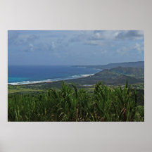 Barbados Atlantic Ocean View Poster