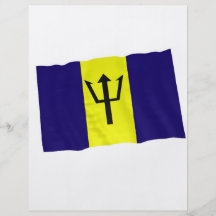 barbados custom flyer