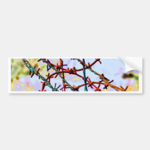 barbed wire bumper stickers