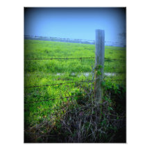 Barbed Wire Fence Photo Art