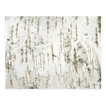 BARK BIRCH POSTCARD