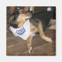 Bark for Barack - Dogs for Obama Magnet