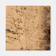 Bark Magnets