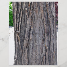 Bark Texture Custom Flyer