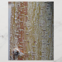 Bark Texture with different shades Flyer Design