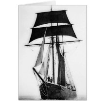 Barkentine Cards