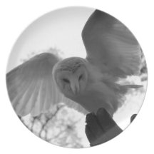 Barn Owl Party Plates