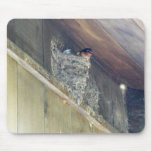 Barn Swallow Series Mouse Mat