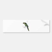 Barnard’s Parrakeet by Edward Lear Bumper Sticker