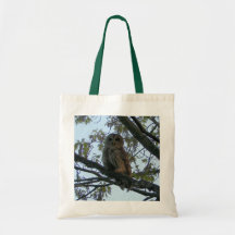Barred Owl (Hoot Owl) Grocery Tote Bags