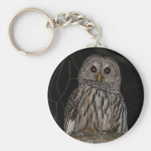 Barred Owl keychain