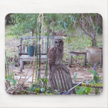 Barred Owl @ MarshLand, USA Mouse Pad