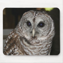 Barred Owl Mouse Pad