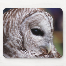 Barred Owl Mousepad