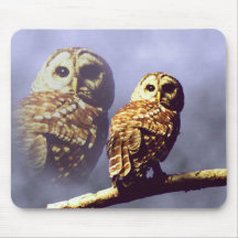 Barred Owl Mousepad