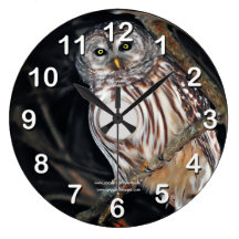 Barred Owl Wallclocks