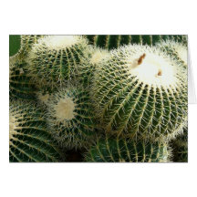 Barrel Cactus Blank Card