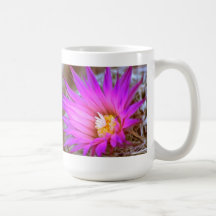 Barrel Cactus Bloom Mug