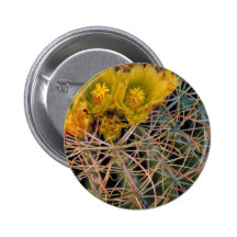Barrel cactus buttons