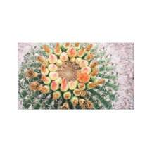 Barrel Cactus Canvas Print